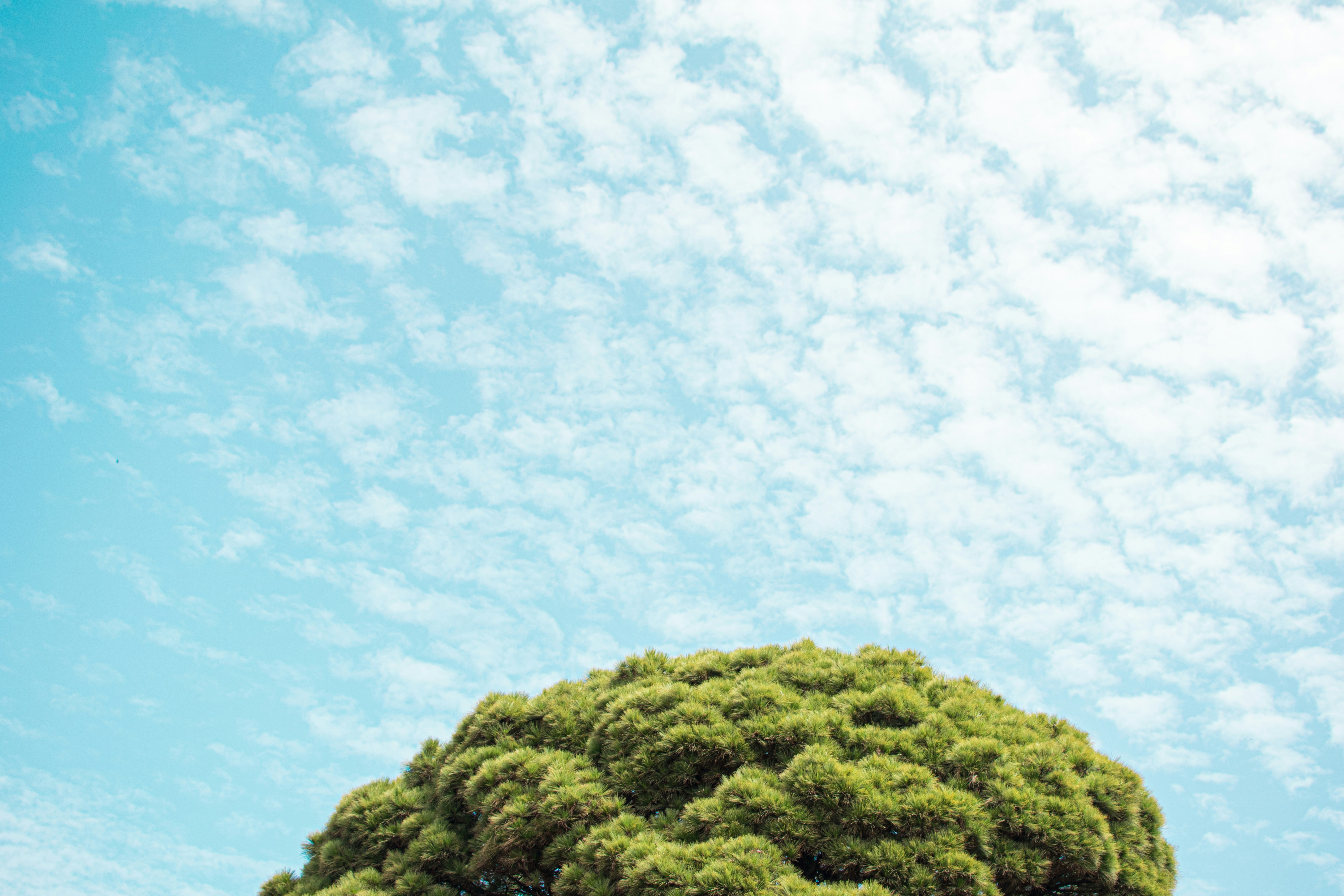 Nature and sustainable living.